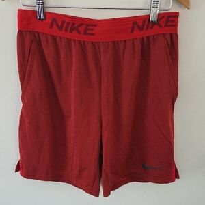 Nike Men's Dri-fit Athletic Red Shorts